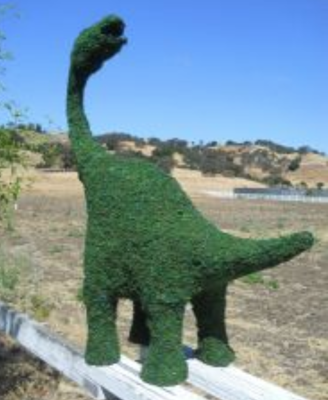 Sauropods Frame Topiary with Moss 32 inches tall